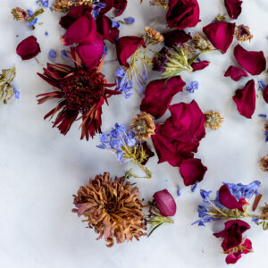 Dried flowers from floral bouquet after drying in oven