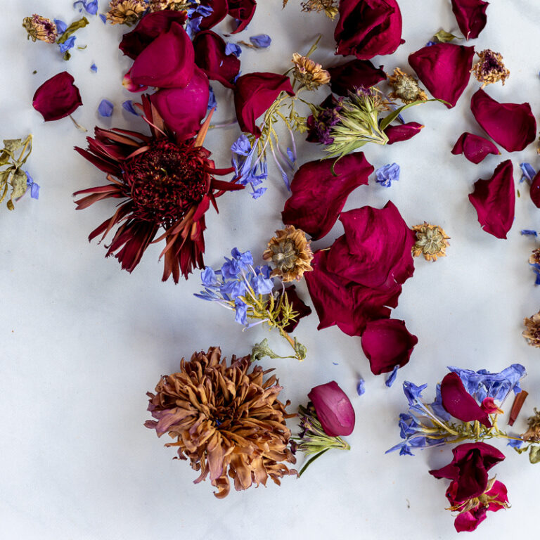 How to Dry Flowers 5 Different Ways: The Ultimate Guide