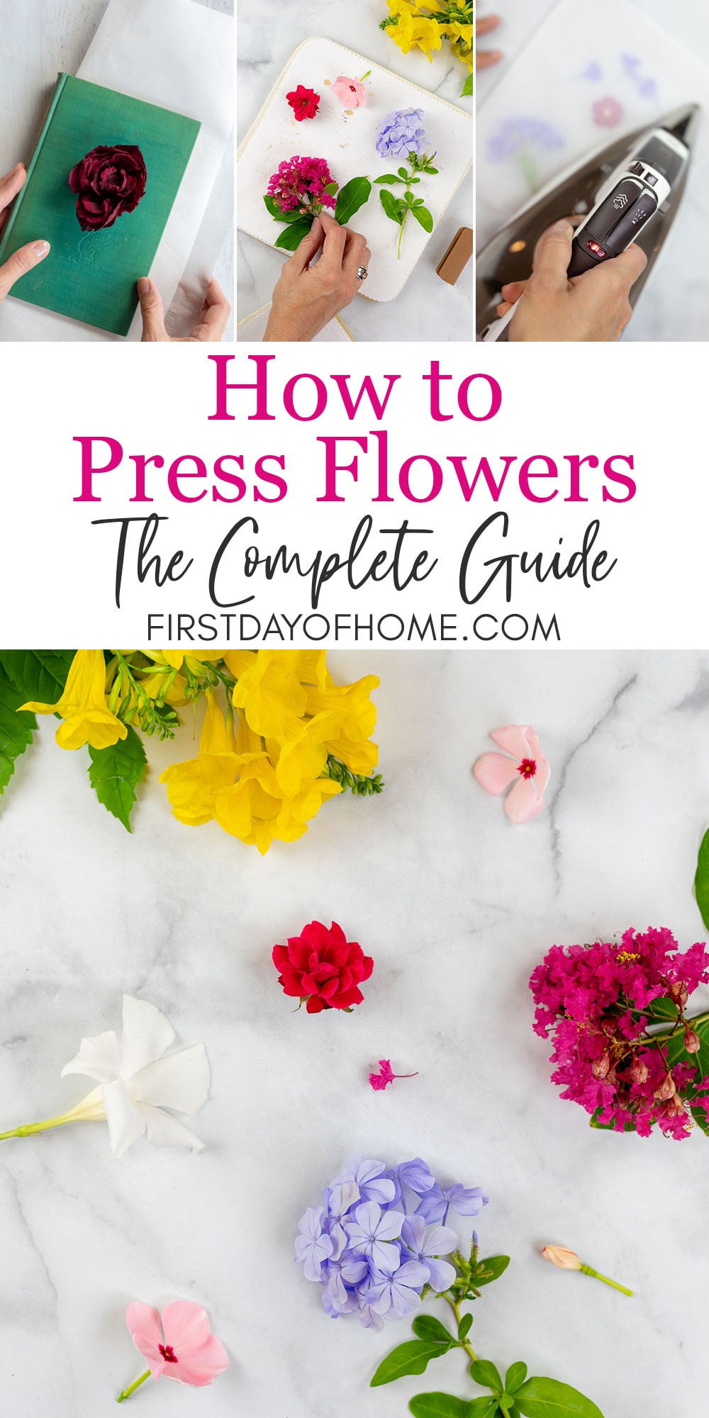 Guide to pressing flowers with four different methods and examples