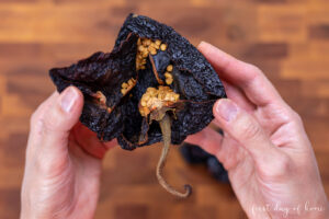 Removing seeds from ancho chile peppers