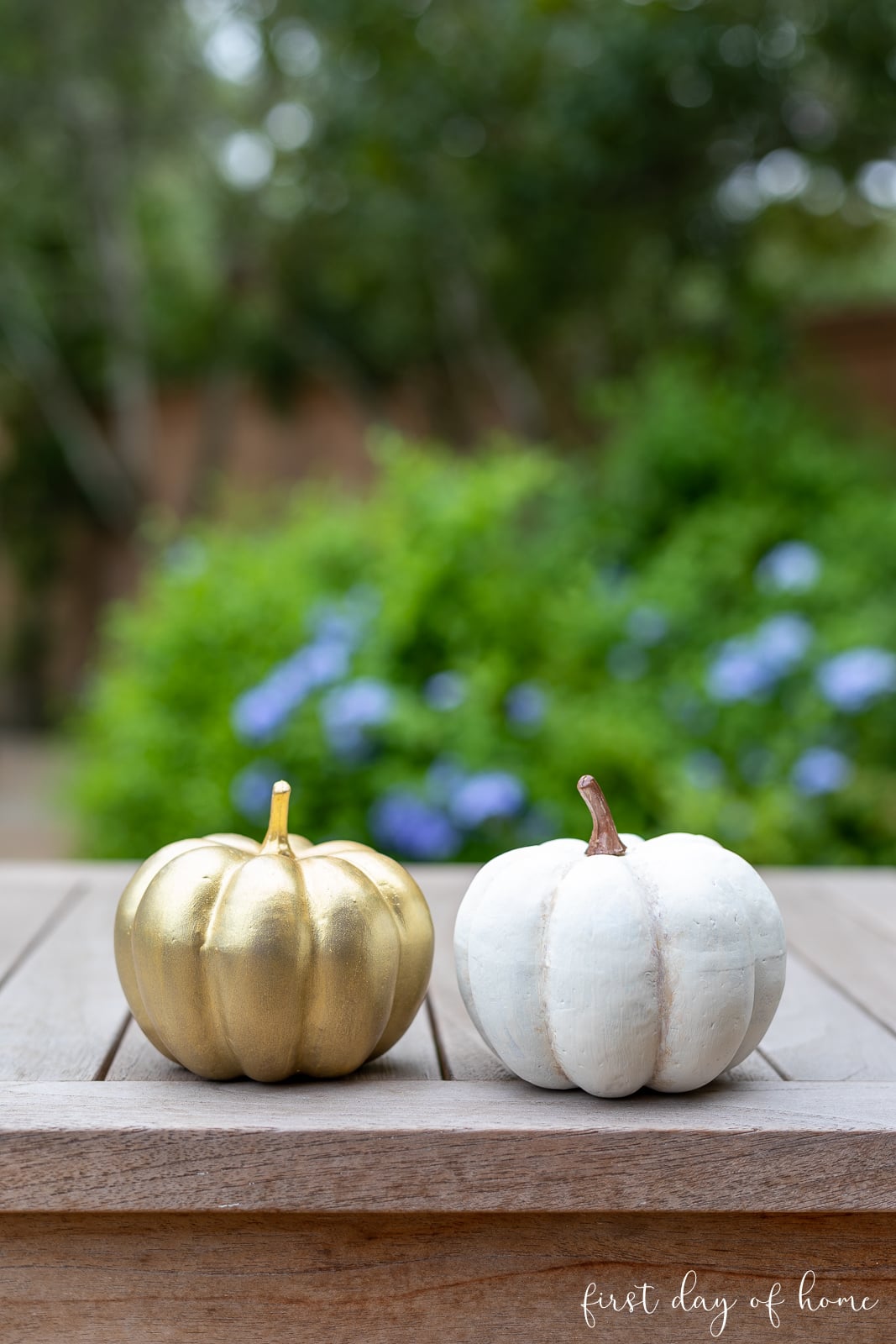 Gold pumpkin and white painted pumpkin side-by-side