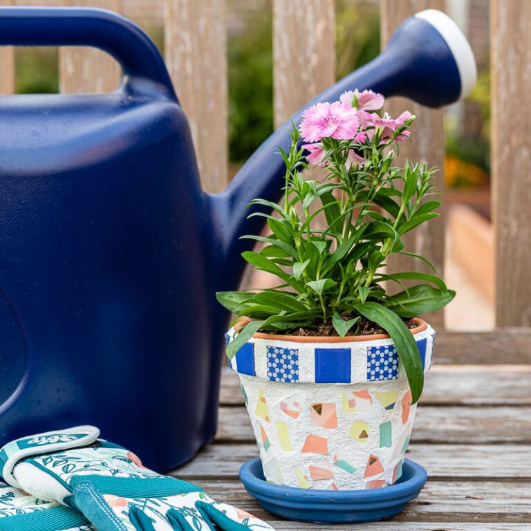 Mosaic flower pot with dianthus flower, a watering can and gardening gloves