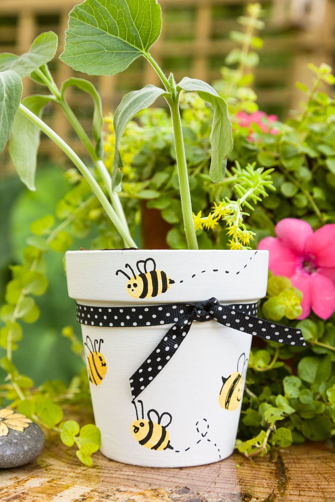 Flower pot painting with bees using thumbprints