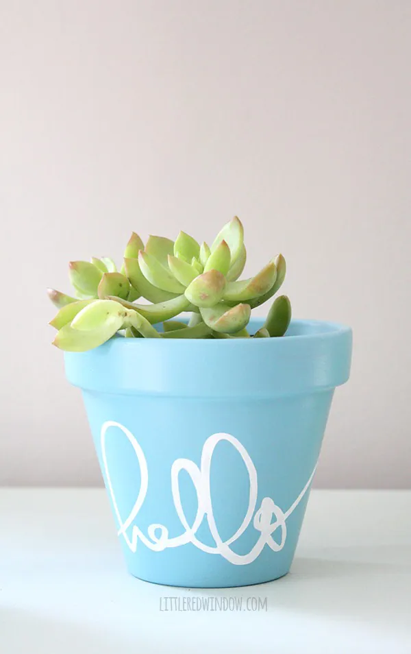 Stenciled flower pot with word "Hello" on it, filled with succulent plant