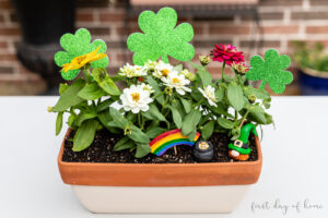 St. Patrick's Day gnome fairy garden display with rainbow, pot-o-gold and shamrock