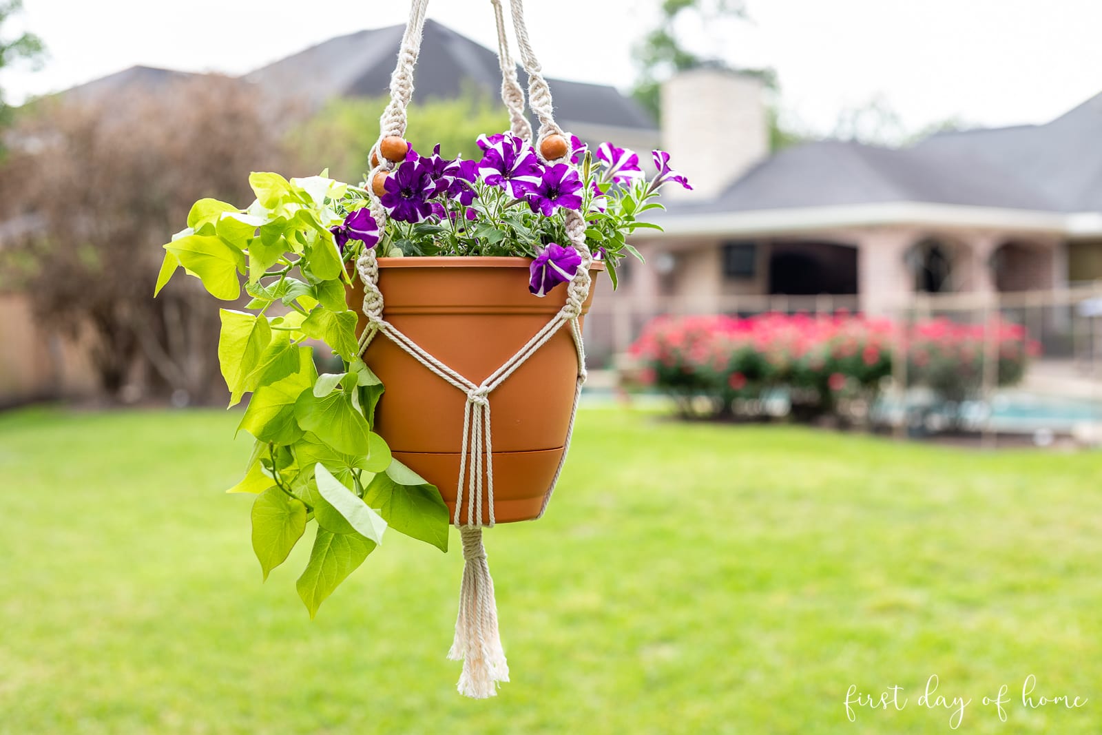 How to Make an Easy DIY Macrame Plant Hanger