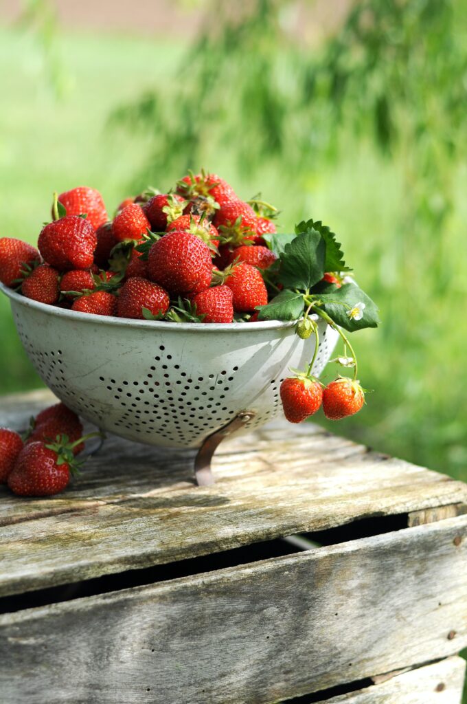 Photo of colander filled with fresh strawberries on rustic table