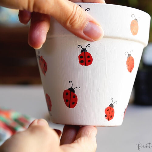 Fingerprint flower pot with ladybug design