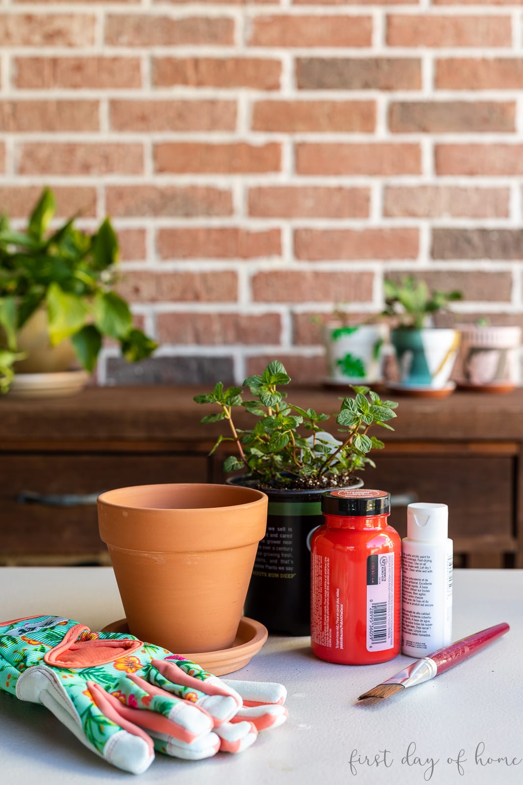 Fingerprint flower pot supplies, including terracotta pot, acrylic paint, plant, gloves, and paintbrush