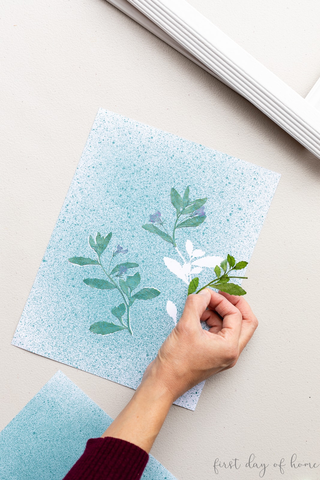 Removing pressed flowers from paper after spray painting to reveal flower silhouette underneath