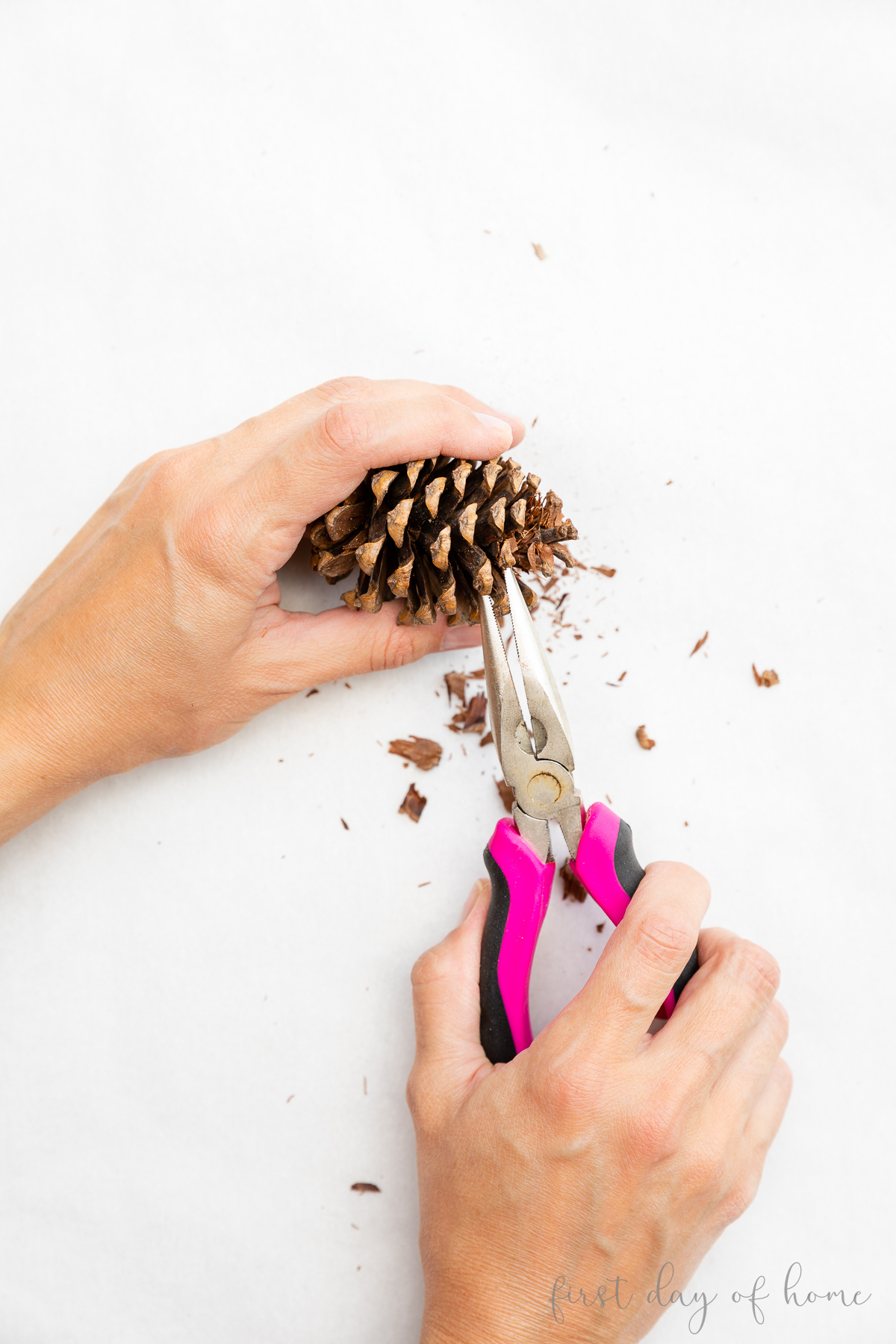 Preparing pinecones for crafting by removing scales