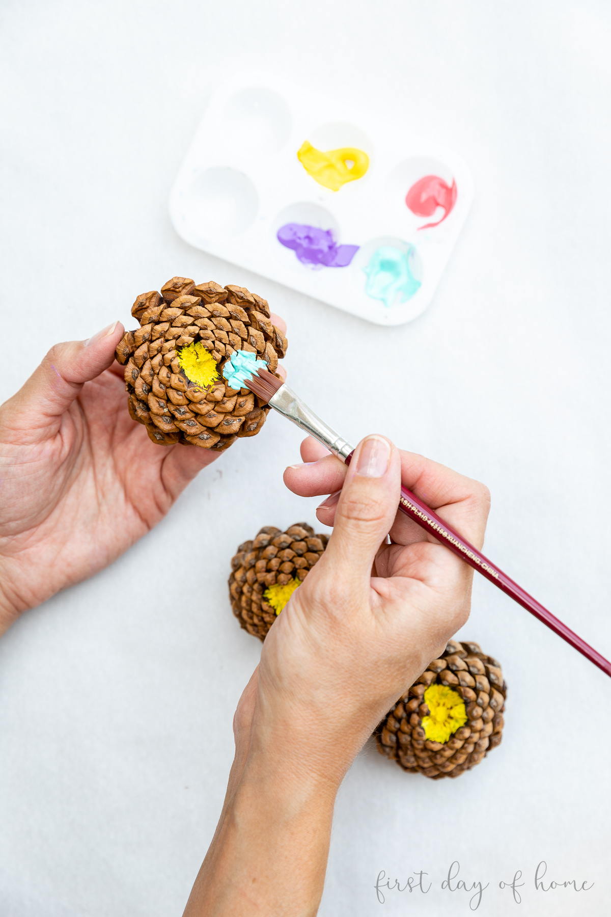 Painting the scales of a pinecone to look like flowers