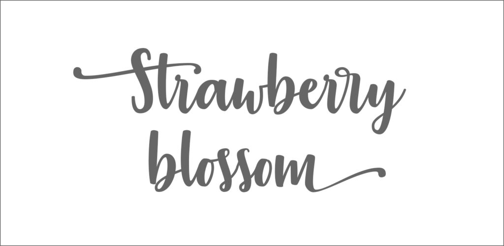 Strawberry Blossom free script font.