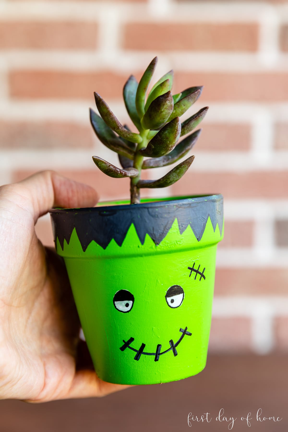 Frankenstein painted flower pot with succulent plant