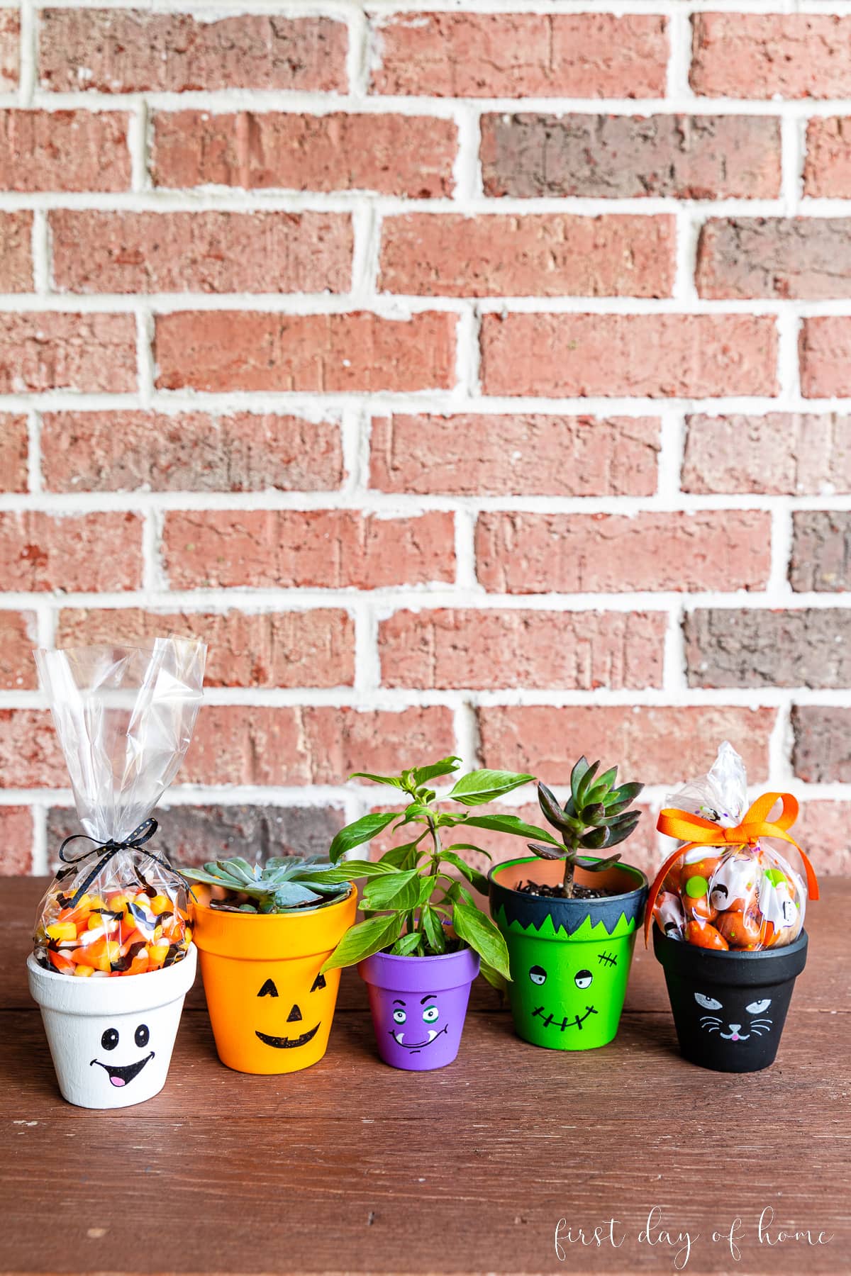 Five painted flower pots with a Halloween theme, including a ghost, a jack-o-lantern, a purple monster face, Frankenstein, and a black cat