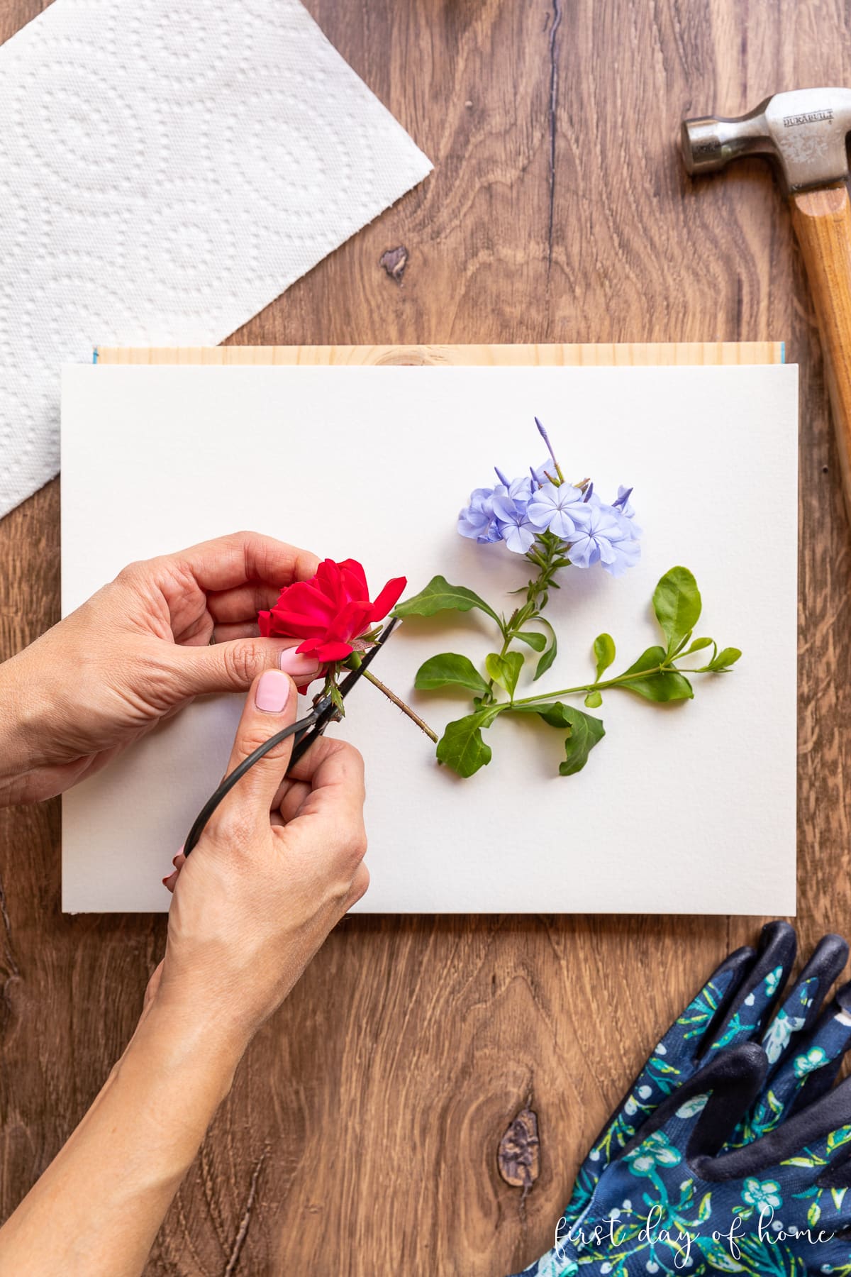 Arranging flowers on watercolor paper to make DIY hammered flower art