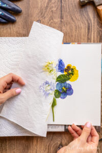 Removing paper towel to reveal pounded flowers after hammering