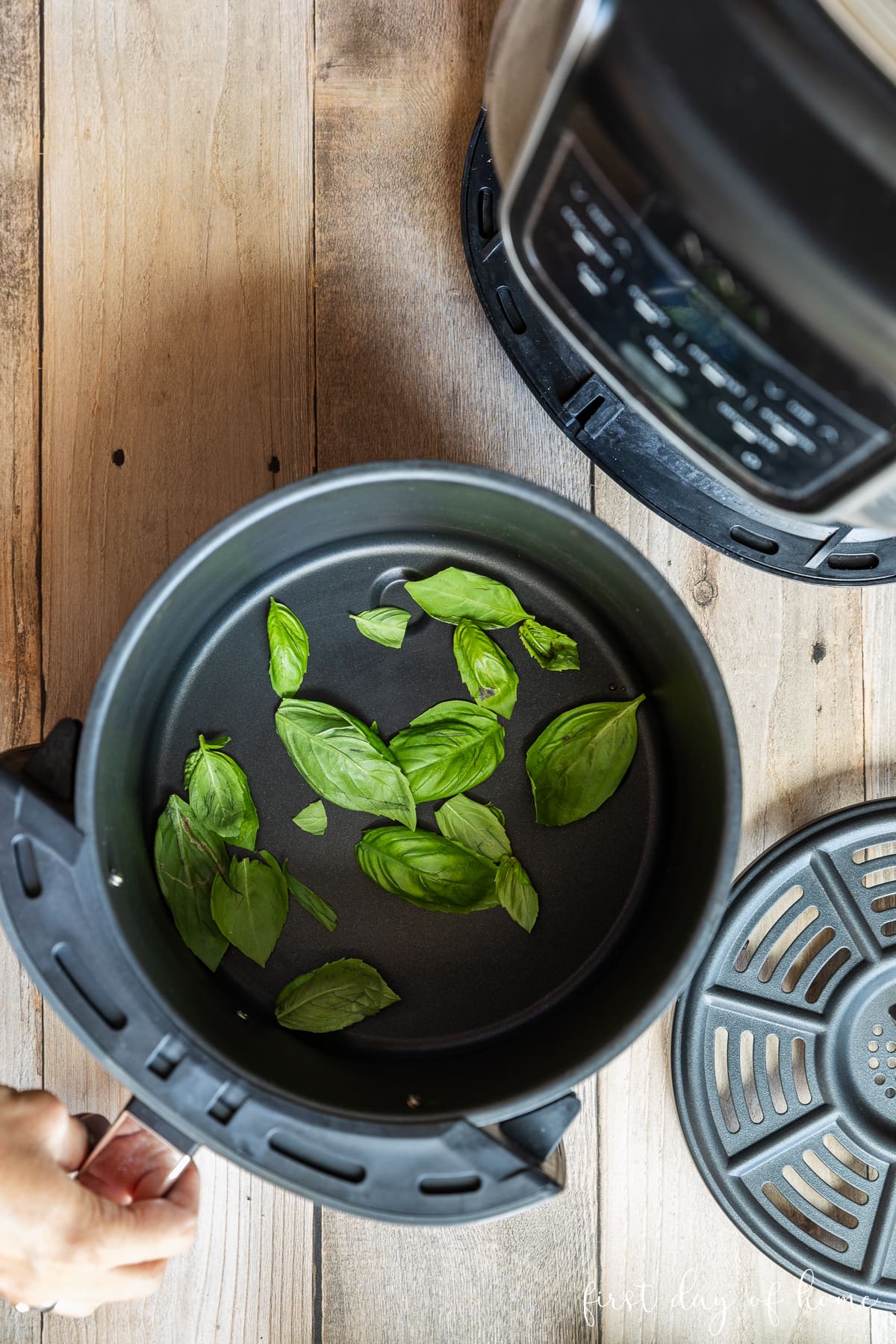 How to dry basil leaves in an air fryer basket