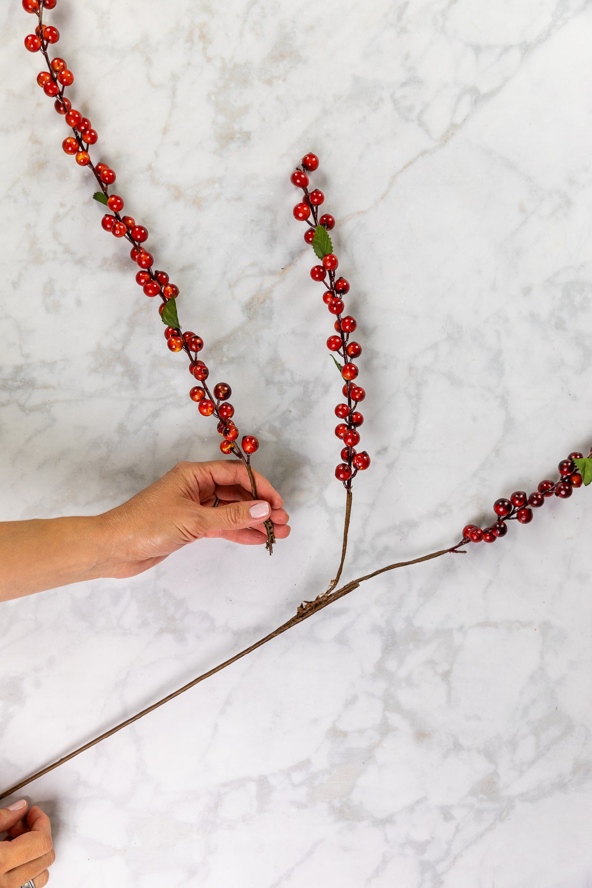 Separating berry stems into individual branches to use for DIY table centerpiece.