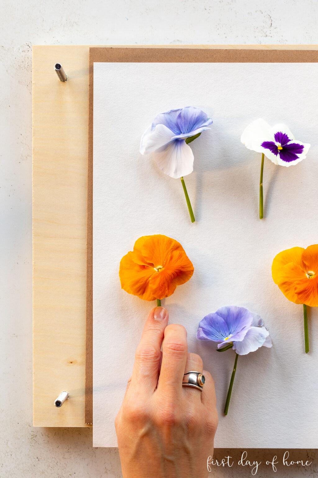 Beautiful Pressed Flower Crafts (2026) | First Day of Home