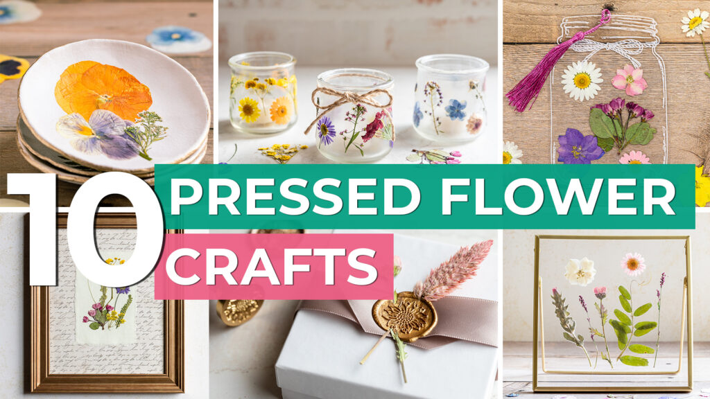 Collage of crafts and home decor made with pressed flowers. Text overlay reads "10 Pressed Flower Crafts".