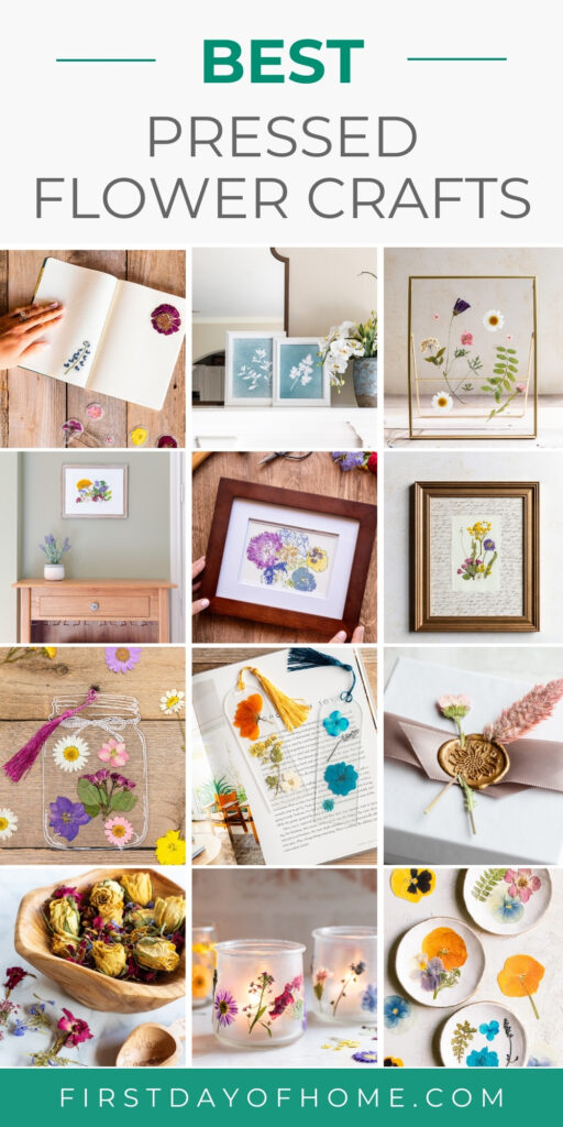 Beautiful Pressed Flower Crafts (2026) | First Day of Home