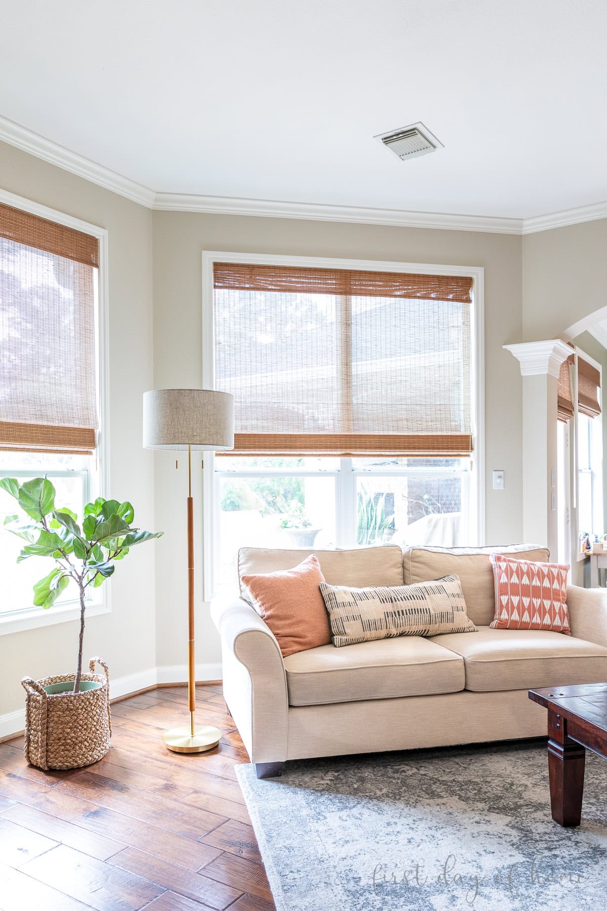 Living room sofa with summer throw pillows, a floor lamp, and a fiddle leaf fig tree.